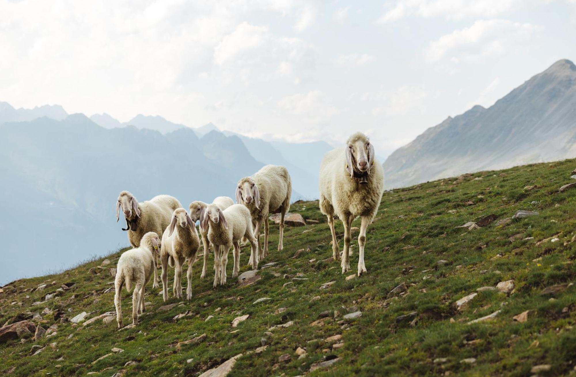Apart Talblick Sölden Dış mekan fotoğraf